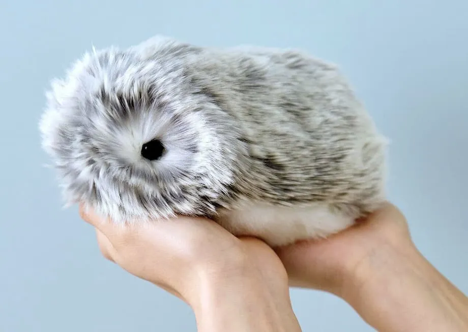 モフリン、日本で人気沸騰　個性豊かなふわふわAIペット
