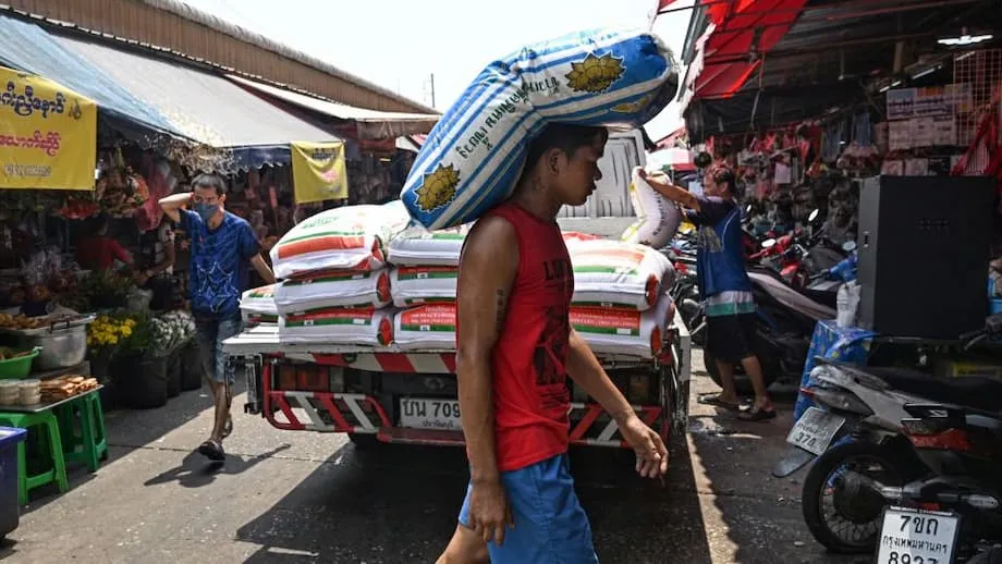Philippines suspends rice imports for 60 days, hitting Thai exporters ...