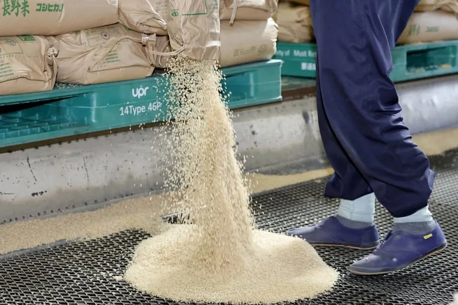 日本の食料不安危機：低所得世帯の大半が子どもに十分な食事を与えるのに苦労する理由