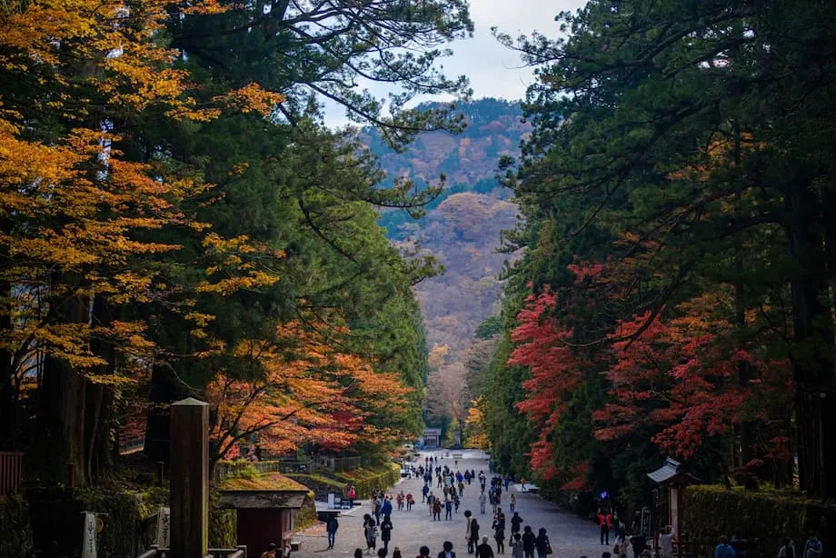 日本の早秋紅葉スポット5選:秋の最初の彩りに出会える場所