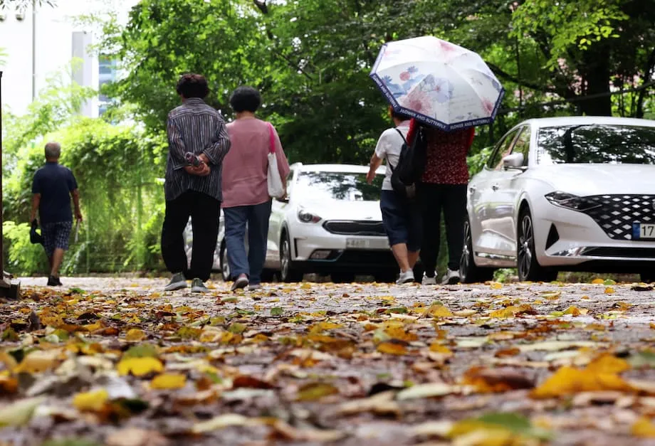 韓国でラニーニャ現象の兆し、秋前半は雨が増え、早めの寒波も