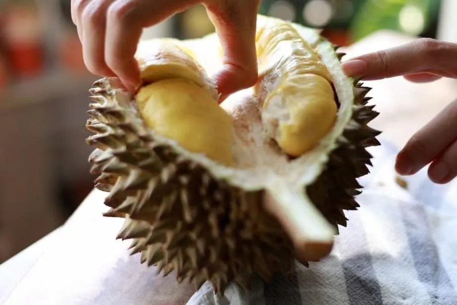 宮廷へのライチ急送から現代のドリアン特急へ、中国で高まる人気に応える物流競争