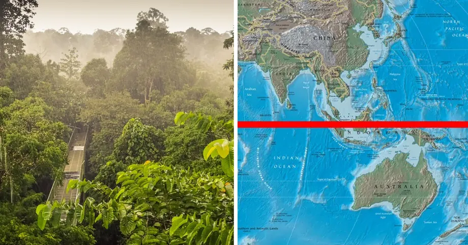 マレーシアの熱帯雨林が地球最古級の生態系である理由