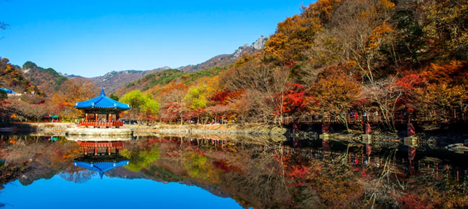 韓国の紅葉ガイド2025：見頃の時期、おすすめスポット、賢い旅行計画