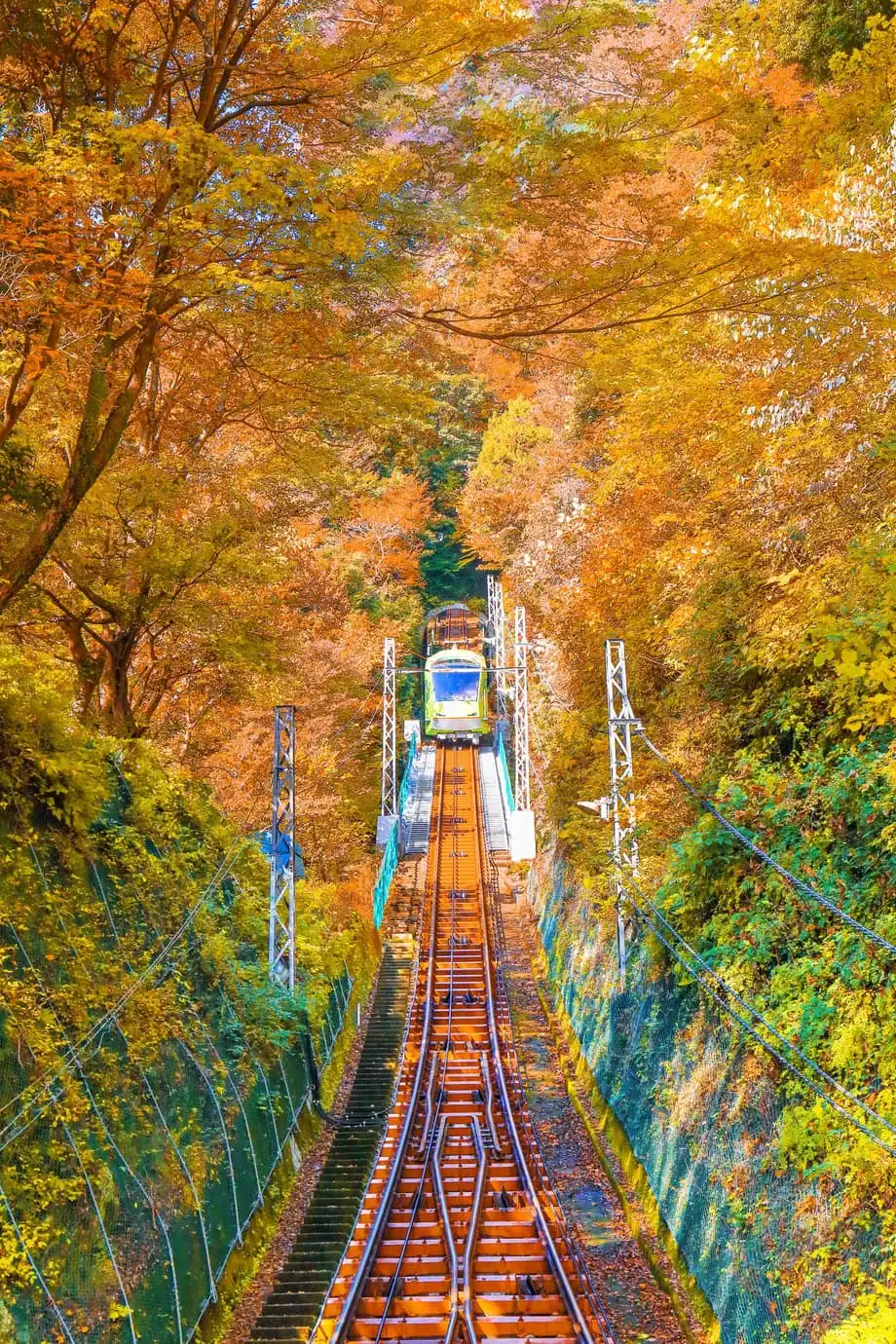 秋の日本を列車で巡る：紅葉を楽しむおすすめ鉄道旅
