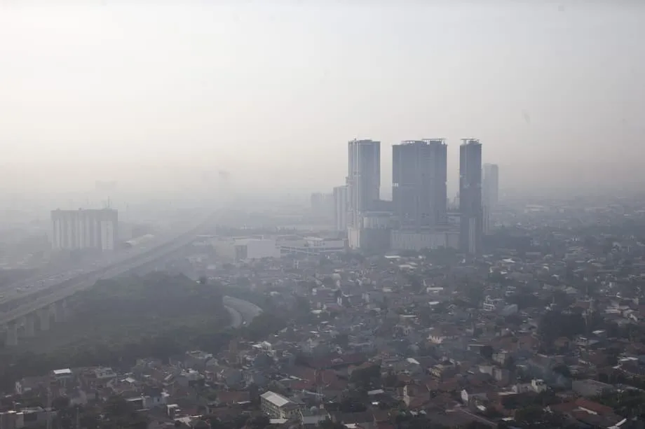 大気汚染で東南アジアの損失、2050年までに最大6000億ドル　空気がきれいになっても