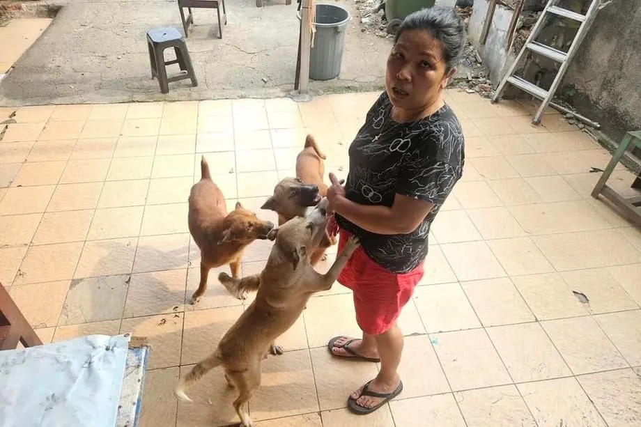 健康・動物福祉への懸念高まる中、ジャカルタが犬猫肉の販売・提供禁止へ