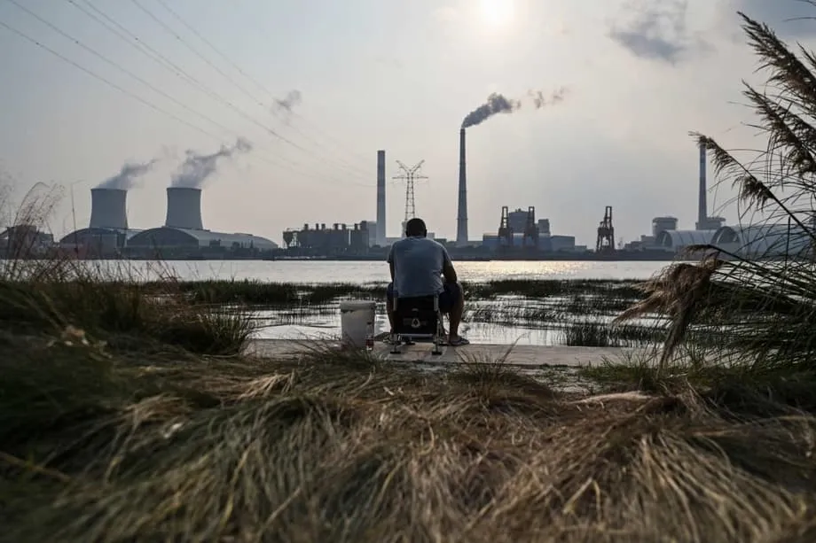 中国、ブラジルの森林基金への拠出を見送り　COP30で先進国が主導すべきと主張