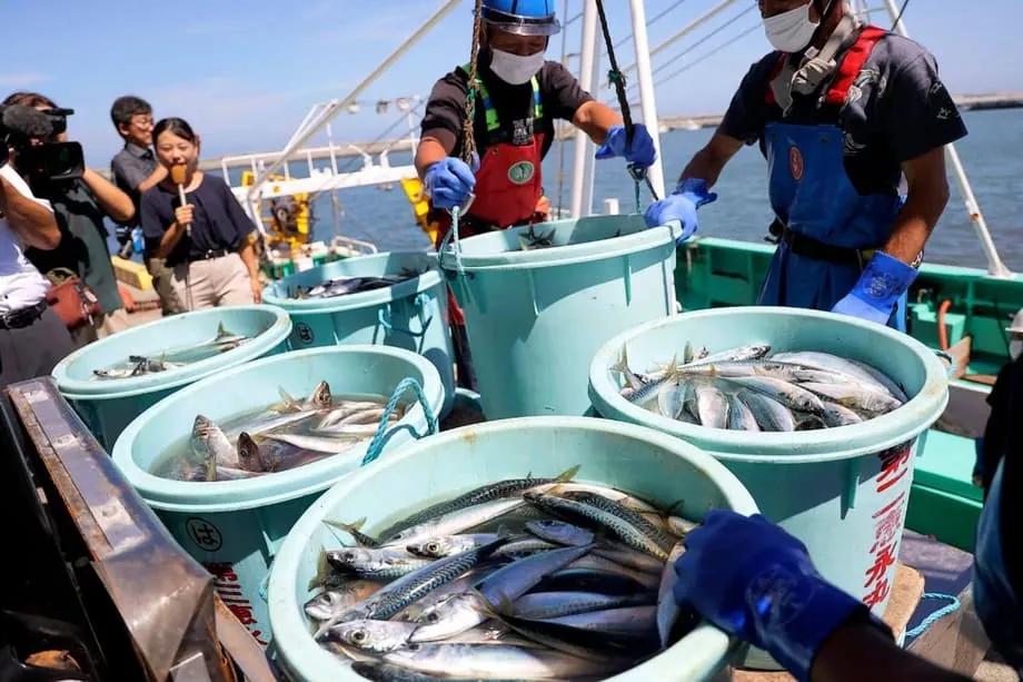 台湾をめぐる対立激化、中国が日本産水産物の輸入停止へ