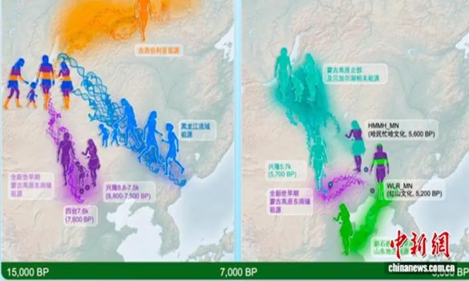 古代DNAが東アジア先史時代の見方を塗り替える、早期から家族中心の社会