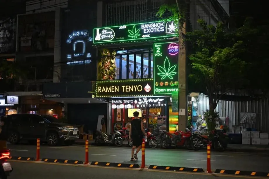タイのカナビス実験：経済への期待から社会への懸念へ