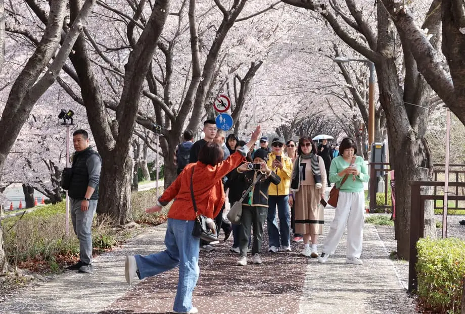韓国、スマート交通と地域連携で観光基盤をソウル圏外へ拡大