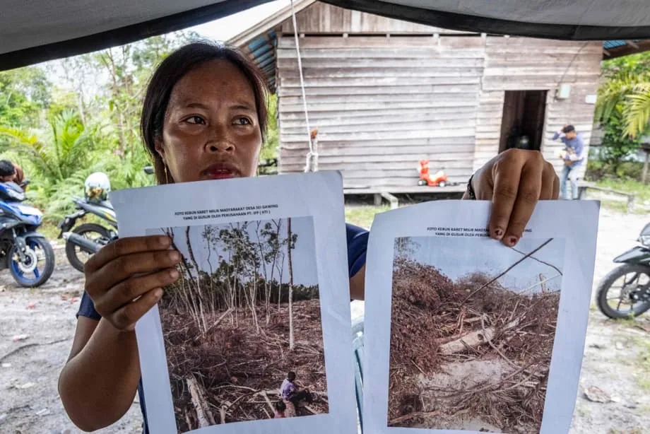 オランウータンの生息地破壊とカーボンニュートラル包装の関連が調査で判明、製薬大手が取引停止