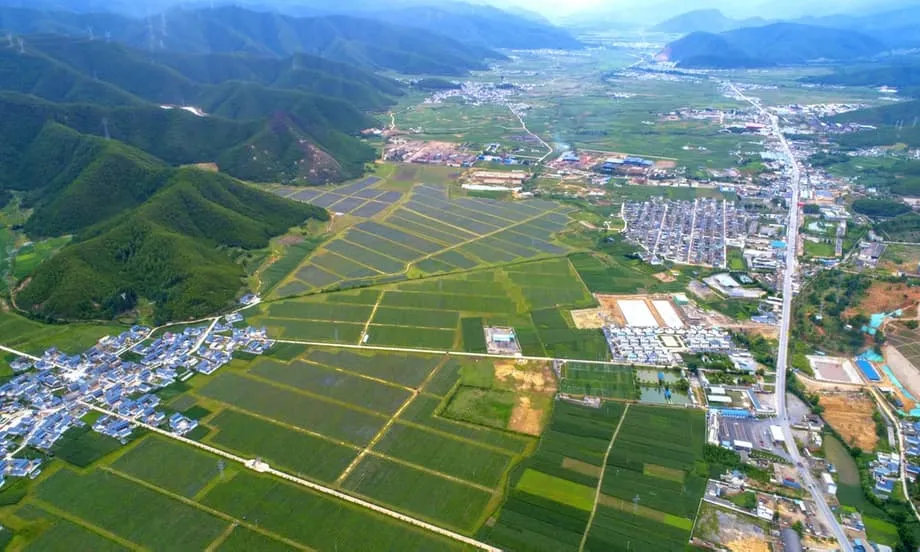 中国のブルーベリー革命：雲南省はいかに高級輸入品を世界的な輸出産業へと変えたのか