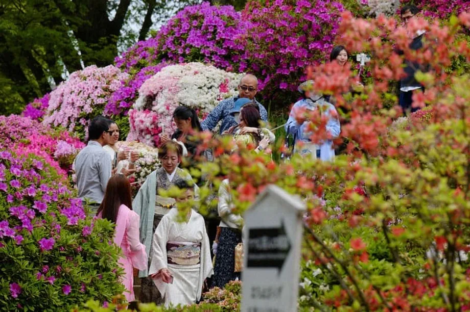 世界で禁止の動きが広がる中、日本はSNSの年齢確認で中間路線を模索